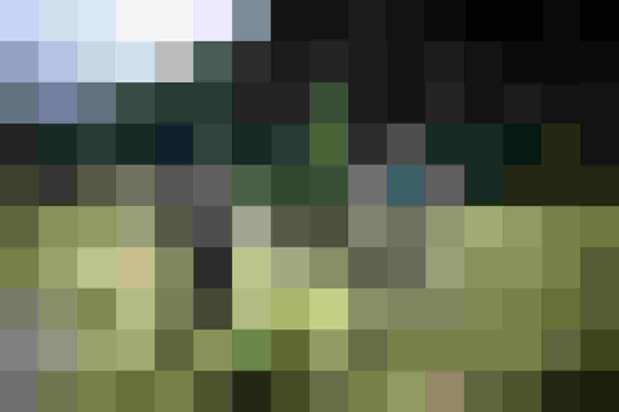 Zwei Männer beim Fliegenfischen an einem Gebirgsbach im Salzburger Land