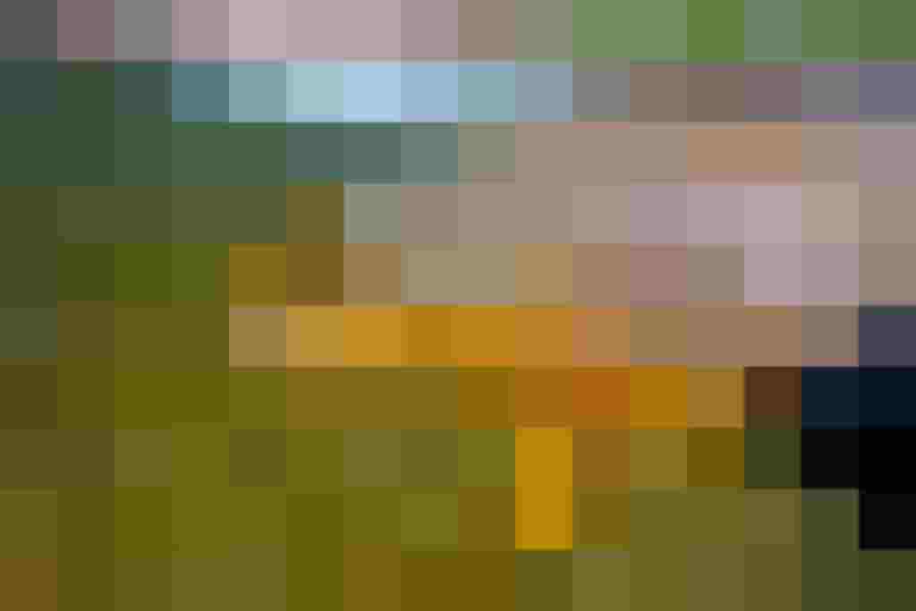 Bachforelle mit goldgelbem Schuppenkleid und dunklen Punkten über Wasser gehalten