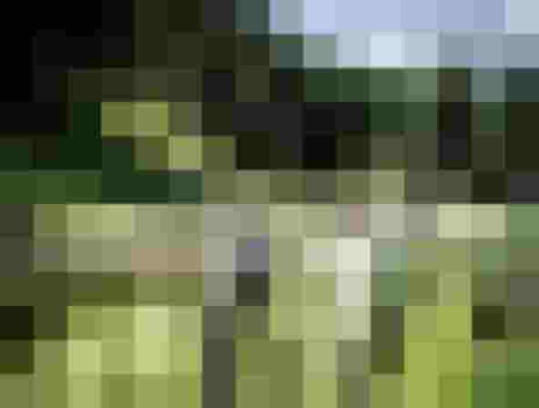 Two men fly fishing on a clear mountain stream in the countryside