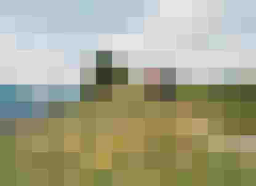 Zwei Wanderer auf blühender Alm mit Blick auf Berge im Salzburger Land